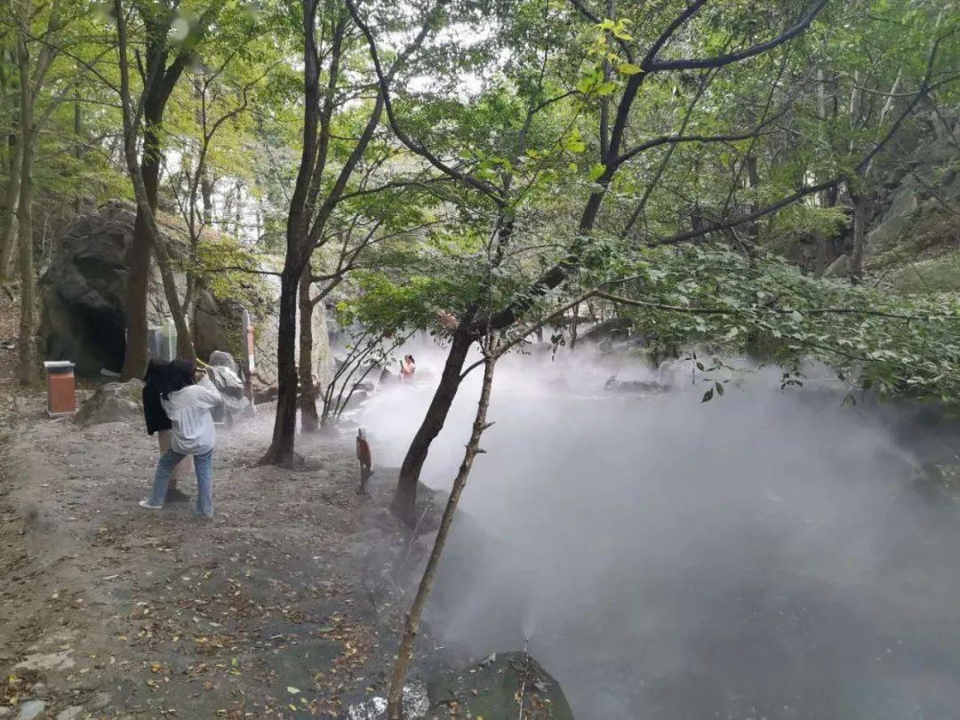 2万远征军命丧野人山,只要倒下就再也起不来了,恐怖程度堪比731